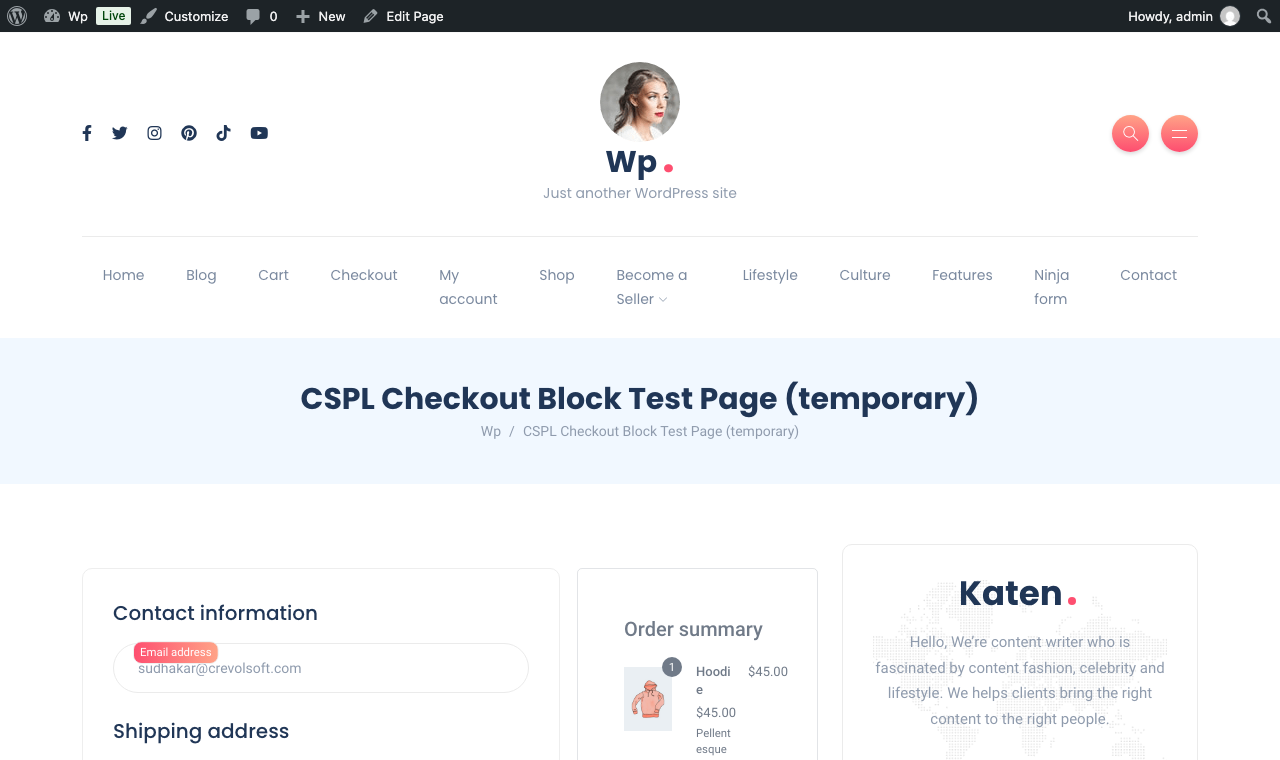 Block-based Checkout page rendering normally with no split payment panel present